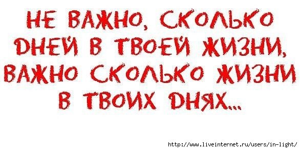  - 11  2015  11:55