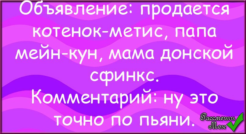  ! - 17  2015  14:03