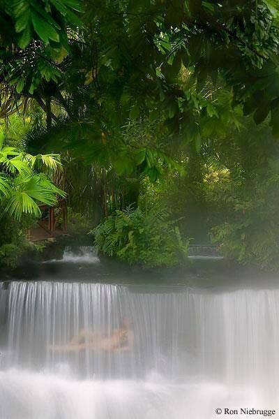 Tabacon - Resort, - - 6