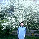  Evgenii ,  , 52  -  11  2015    