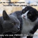  ,  -  20  2015      fotiko.ru