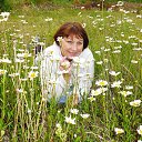 � ���������� ���� �� ������� ���� ����������