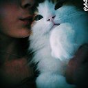 ���� Lini Lini, ��� - ��������� 17 �������� 2015 � ������ ���� ����������