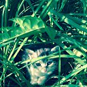 ���� ��������, ��������, 57 ��� - ��������� 7 �������� 2015 � ������ ���� ����������