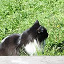  , -, 54  -  12  2015   