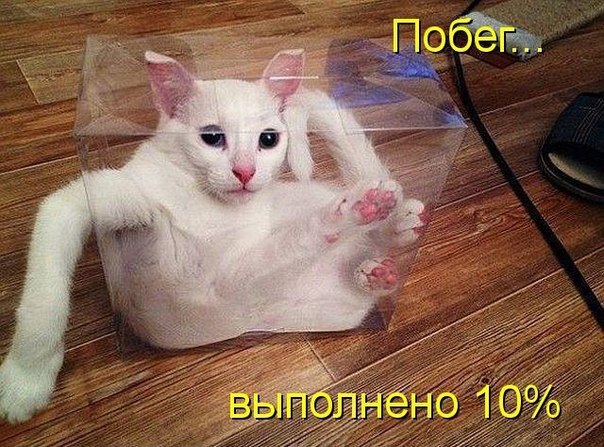       - 7  2015  16:41