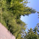 ���� Oleg (�� �������), ������, 62 ���� - ��������� 16 ������� 2015 � ������ ����. ������ ������������� �������
