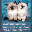 ���� ������� ����������, �����-���������, 55 ��� - ��������� 16 ���� 2015 � ������ �������� ��������