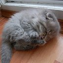 ���� ������, ������ ���, 49 ��� - ��������� 24 ���� 2015 � ������ ���� ����������