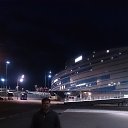 ���� �������, ���������, 41 ��� - ��������� 19 ��� 2015 � ������ ���� ����������