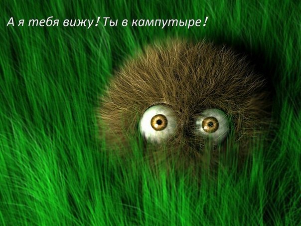 ��� ���� - 27 ���� 2015 � 22:01