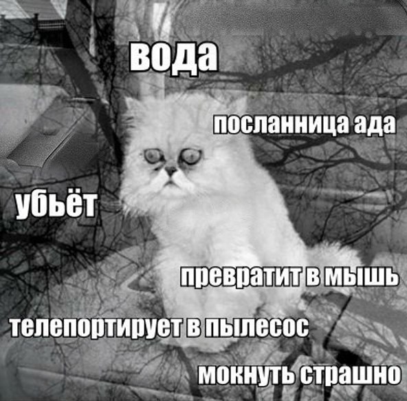 Art & Fun - 19  2015  15:18 - 6