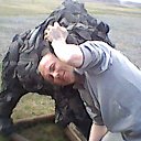 ���� �����, �����������, 41 ��� - ��������� 3 ��� 2015 � ������ ���� ����������