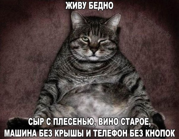   - 7  2015  00:16