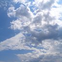  , , 60  -  16  2015    , 2015