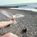 ���� ���� �� ������� ���� ����������