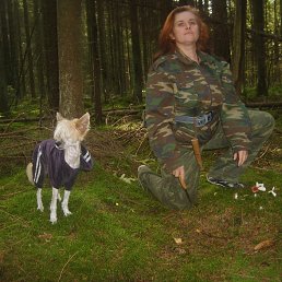 ���������, �����-���������, 59 ���