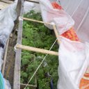 �������� ������,��� ������! �� ������� ���� ����������