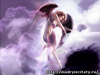  ", -       .      ...