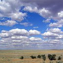 ���� ������, ������, 72 ���� - ��������� 22 ���� 2015 � ������ ���� ���� ������