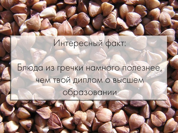   - 23  2015  19:10