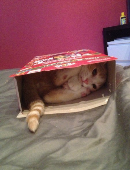    ,    3 ,            , ...