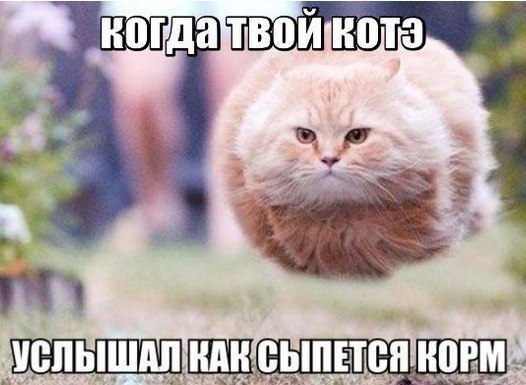   - 10  2015  18:30