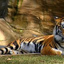  Elena....,  -  23  2015    