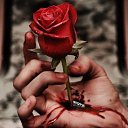 ���� �������, ������ - ��������� 27 ������ 2015 � ������ ���� ����������