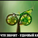 ���� �����, �����, 48 ��� - ��������� 18 ������� 2015 � ������ �10�