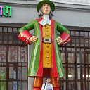 ���� ��������, ������ - ��������� 14 ������� 2015 � ������ �������,����