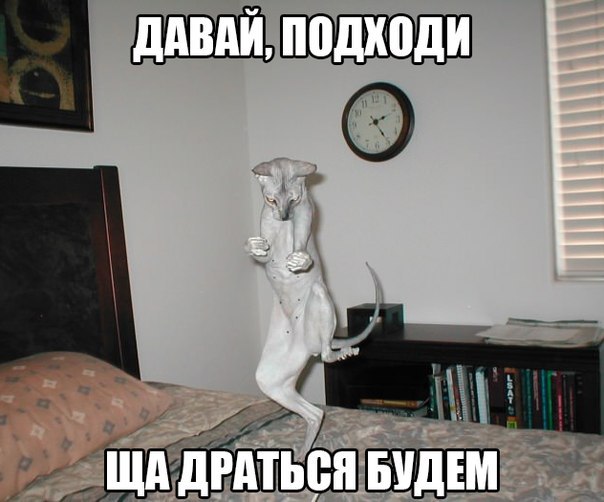       - 27  2015  21:05