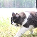  , -, 54  -  12  2015   