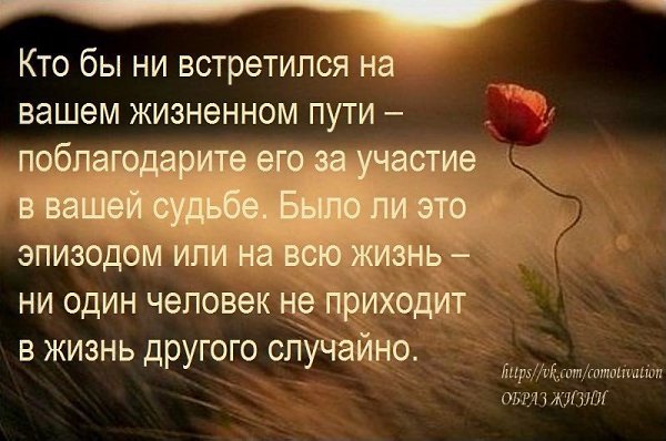 Co-Motivation.... . - 30  2015  18:08
