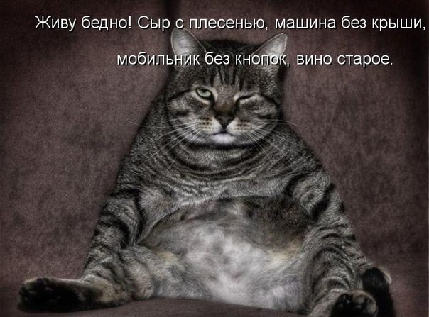  - 6  2015  21:49