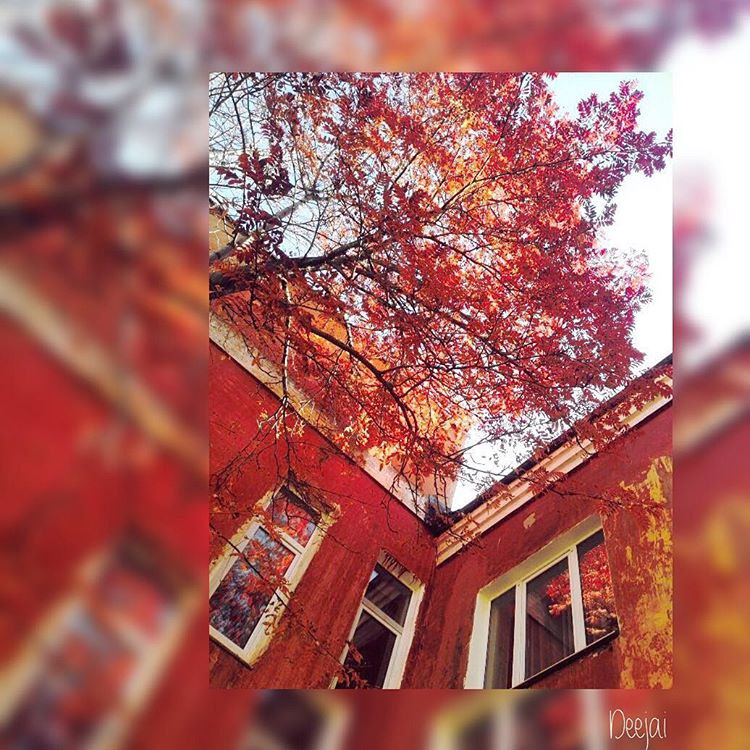 ����� - 15 �������� 2015 � 12:29