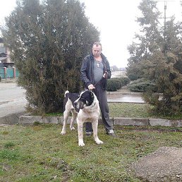 ���� ����, ����������, 62 ���� - ��������� 30 ���� 2015