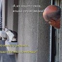 ���� ������, ������������, 45 ��� - ��������� 5 ���� 2015 � ������ ���� ����������