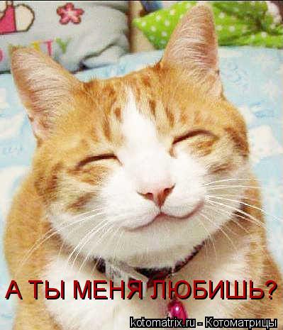 � ����� ����... - 28 ��� 2015 � 21:38