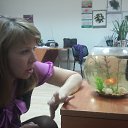 ���� �����, �����-��������� - ��������� 23 ������ 2015 � ������ ���� ����������