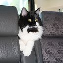  , -, 54  -  12  2015   