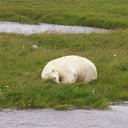 ���� ���������� �� ������� �������