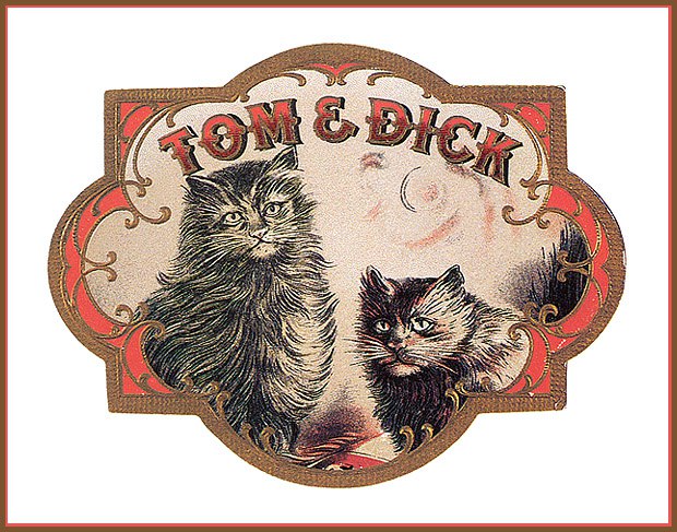 Cat in Old Ilustratives /     - 28