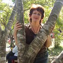 ���� �����, ����������, 57 ��� - ��������� 29 ���� 2015 � ������ ���� ����������