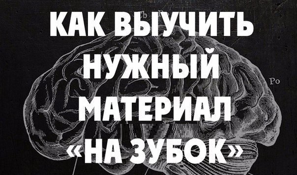 Как выучить нужный для выступления материал «на зубок».Если вам необходимо подготовить выступление и ...