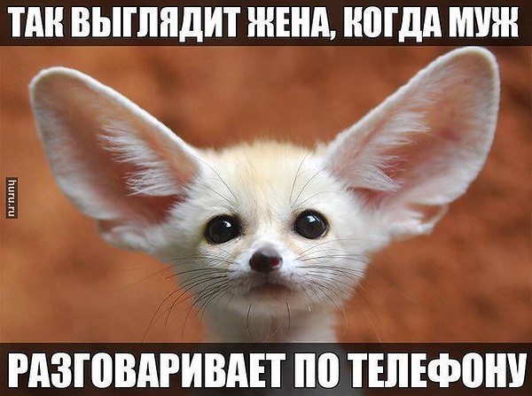   - 7  2015  22:55