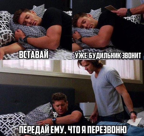 ������ �� ��� :D - 5 �������� 2015 � 09:33