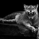 ���� ������, �����������-��-����� - ��������� 19 ���� 2015 � ������ ������ ��������