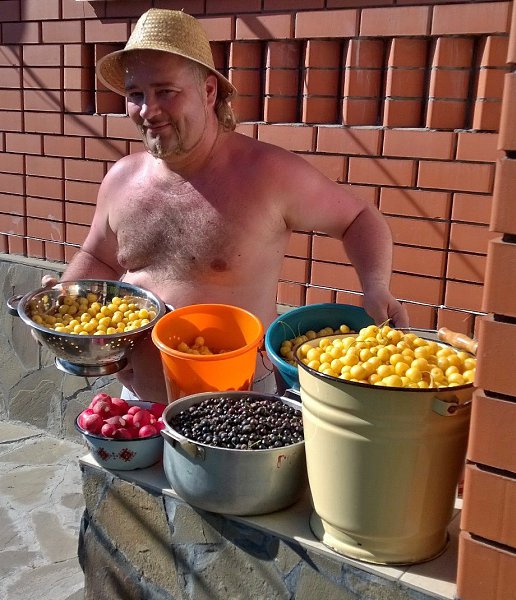 : SERGIO, 52 ,     
