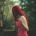  -  ,   , , ,  ..    